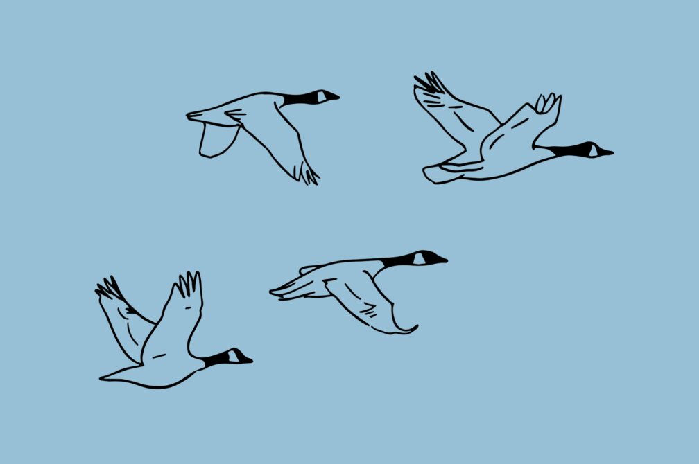 XXXX 1920x1277 Grphc D1 Blg