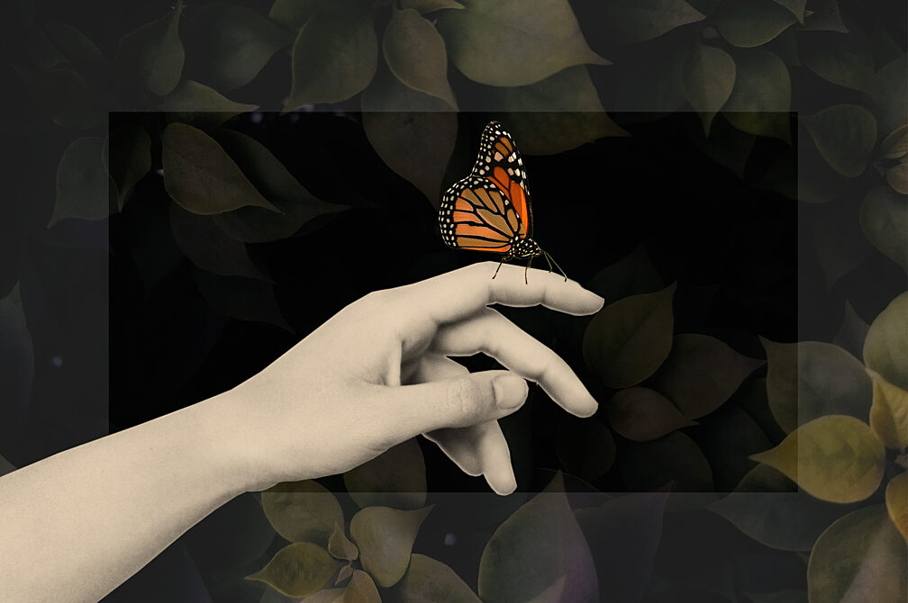 19059 Trns Blg 1920x1277 F