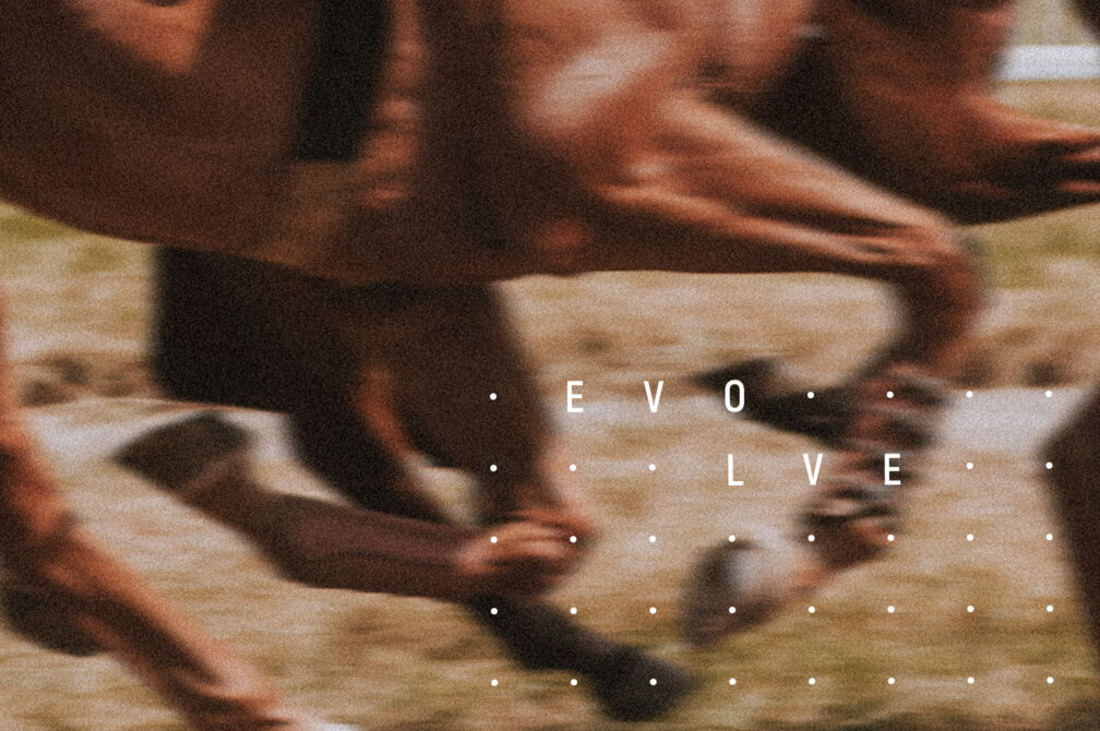 22067 Prvk Feb Blg D1a