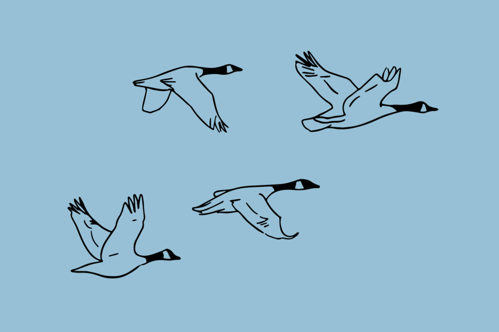 XXXX 1920x1277 Grphc D1 Blg