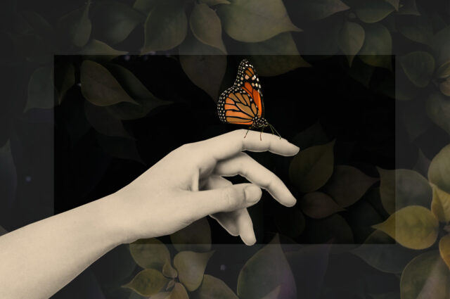 19059 Trns Blg 1920x1277 F