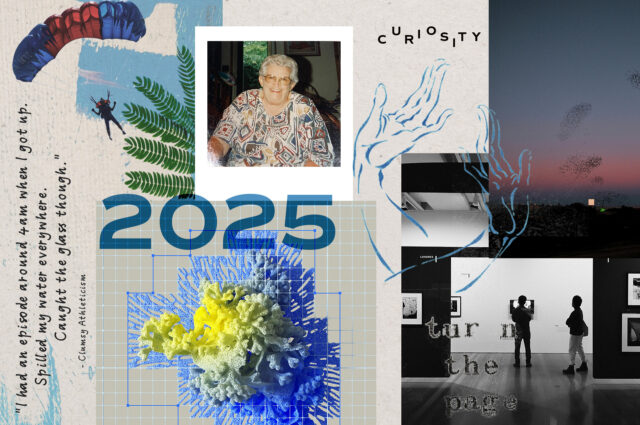 21715 Prvk Dec Blg D1a