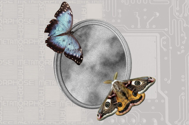 21715 Prvk Oct Blg D1b