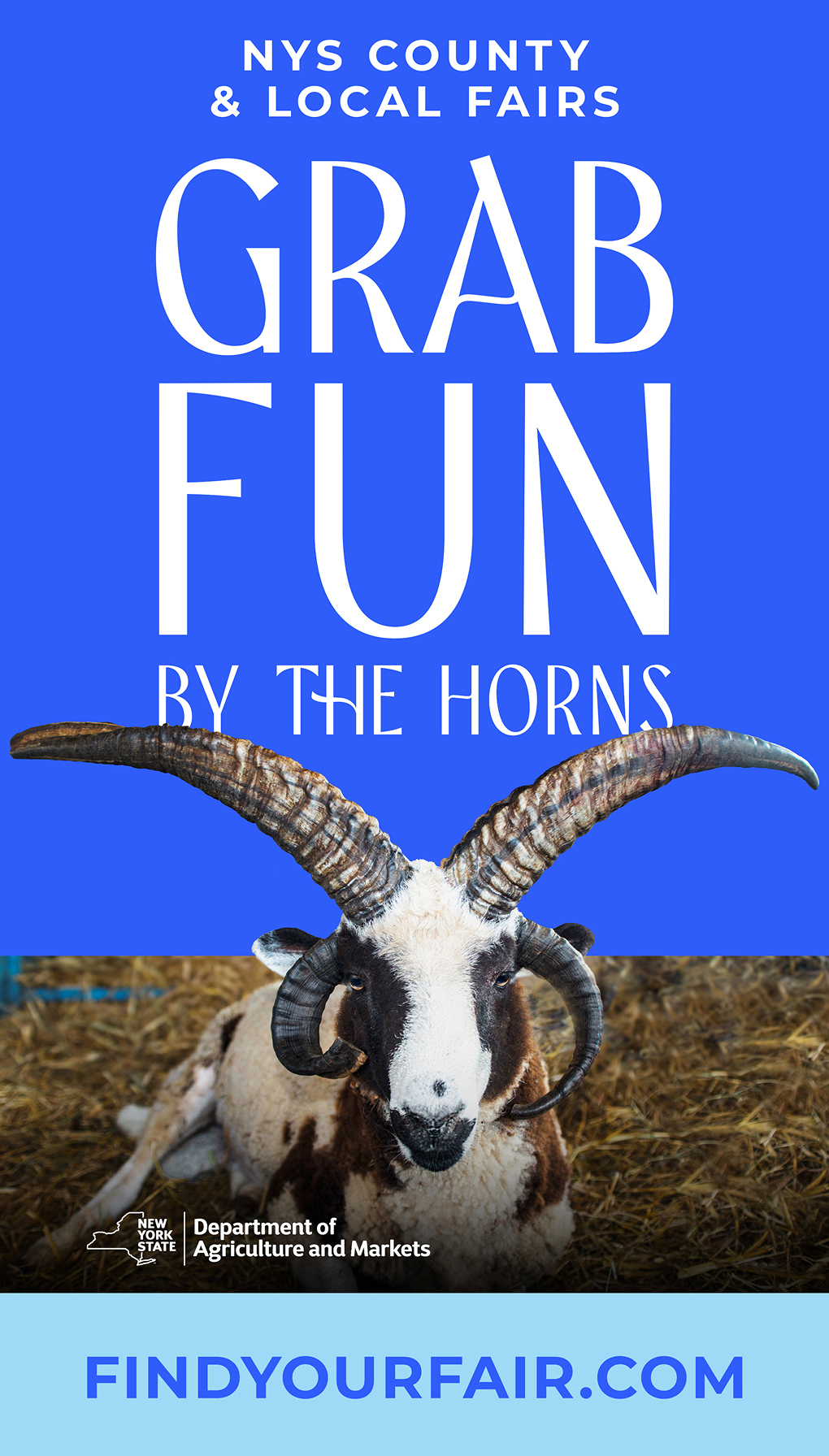 A banner ad for the NYS County & Local Fairs featuring a goat